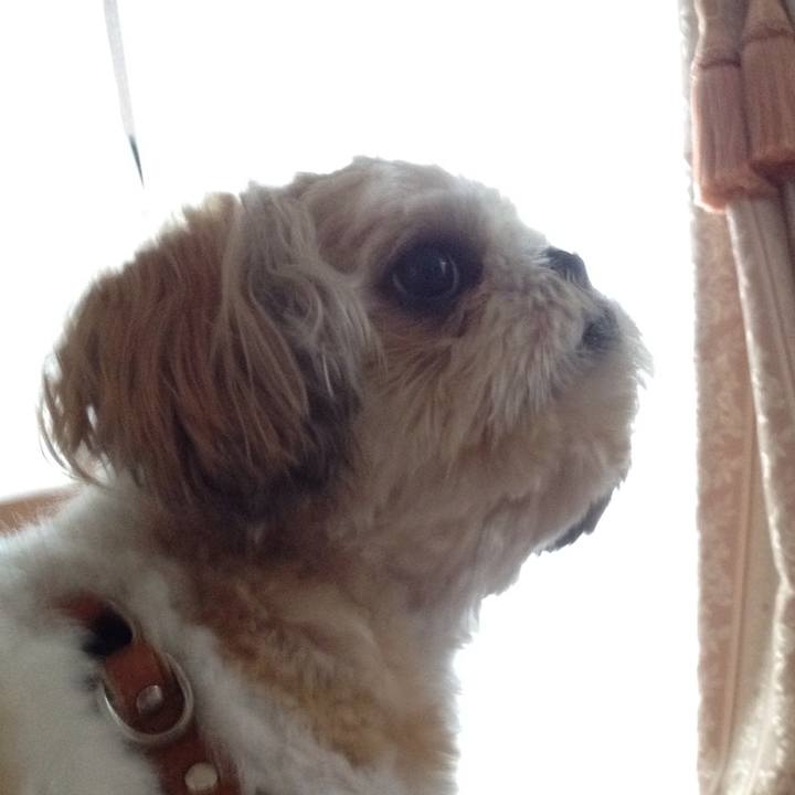 Bf11c6b2 fffd 468d 9c5f 43421b598f86