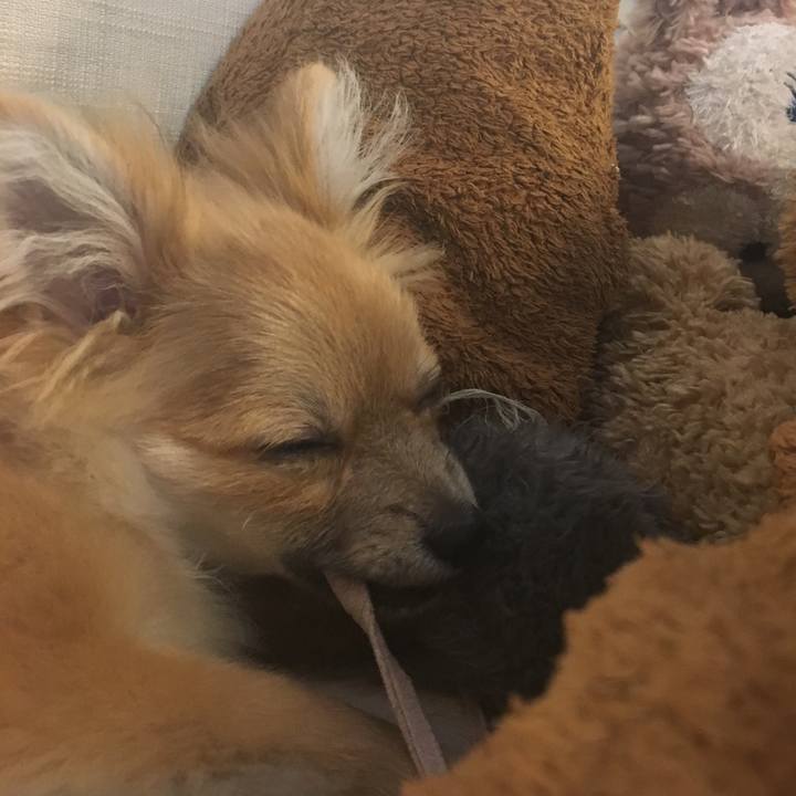 Bf1213cf f178 4164 b943 8e3667e2af36