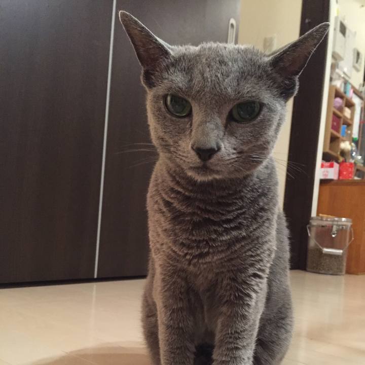 Bf128467 8d0b 4c11 bc54 8a3236a66b7f