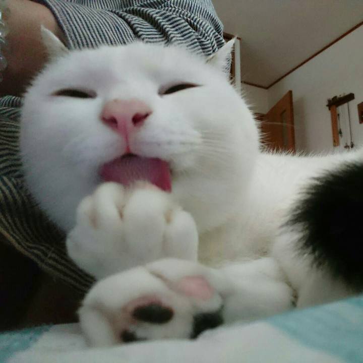 Bf15cd5f bbb8 4f92 a009 ec4161619757