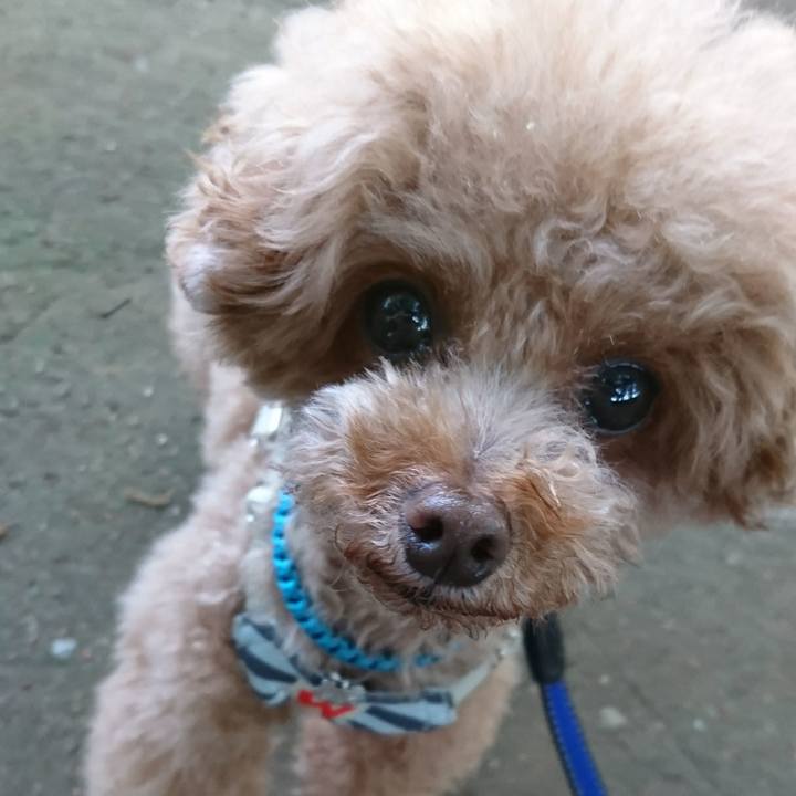 Bf16506d e604 4f2d b568 6aa99f0b0100