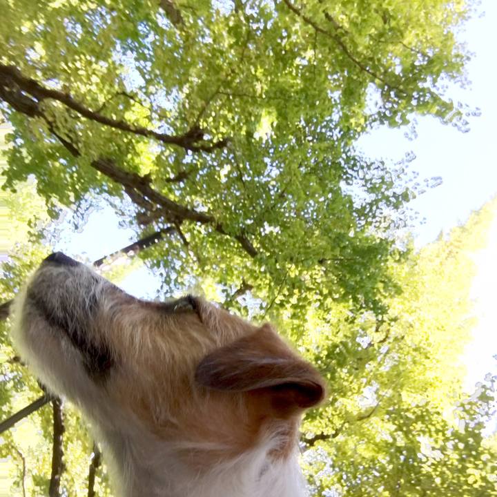 Bf168cb2 b735 4f49 9bcd ac03e303645c