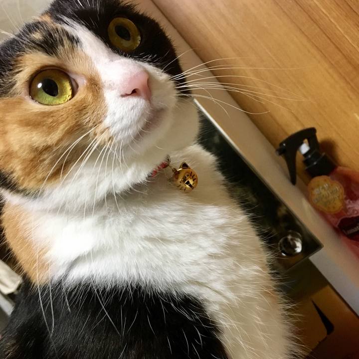 Bf172cfc 9cce 4157 b658 bcd2b4e793e0