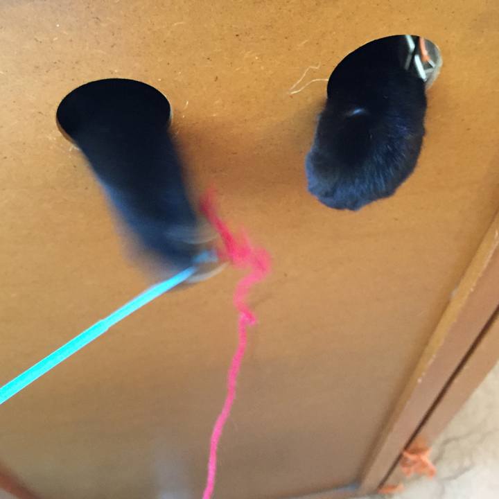 Bf174665 ba92 4ae0 8d27 877a71883a91