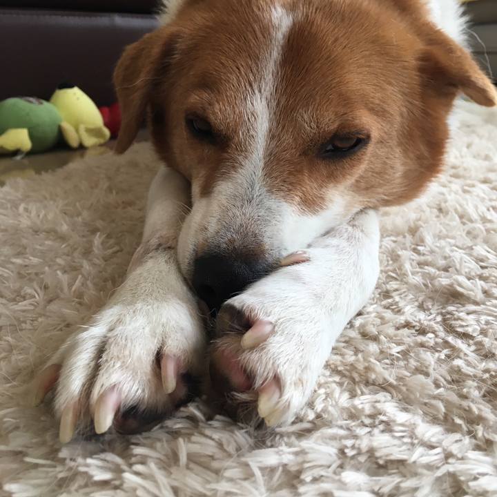 Bf1804e9 0665 43f9 841a 077d581bbb35