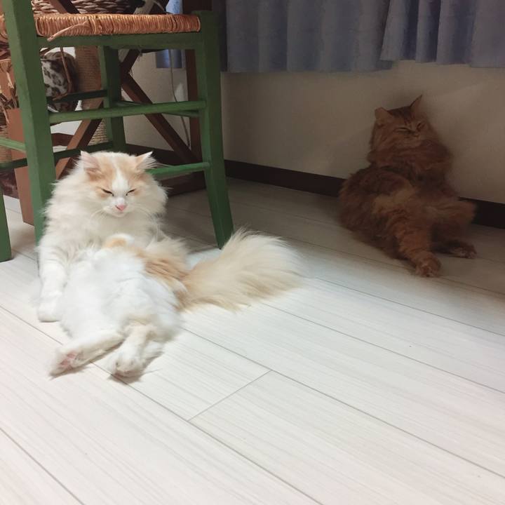 Bf18a85f 0c65 46bd b410 fd6de9a1be4e