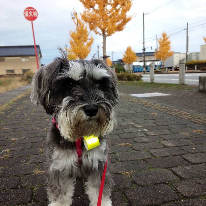 Bf18fba0 08a6 4599 9492 a6ba0b0f6b96