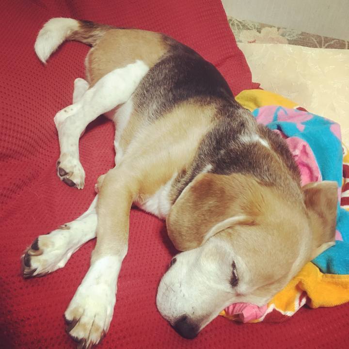 Bf199e13 5b7d 43eb 985a fcb97682dcab