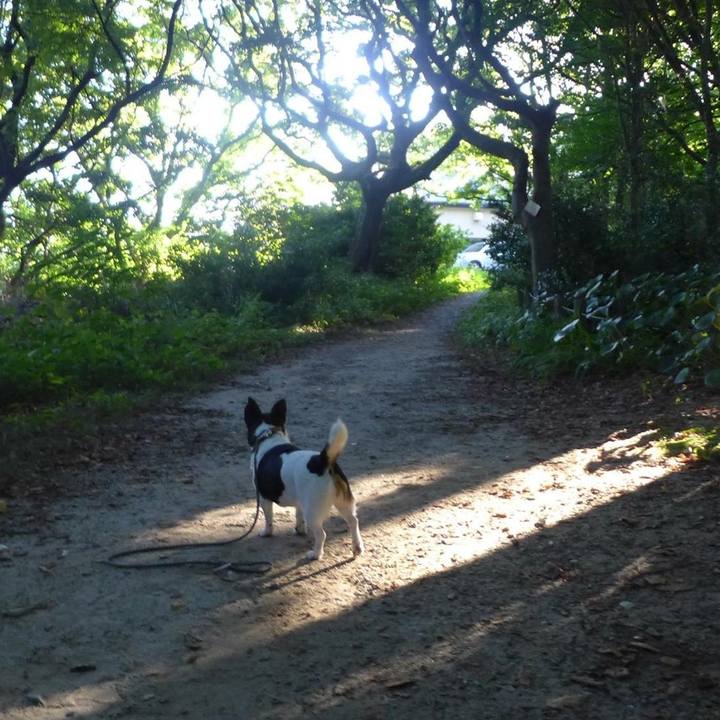 Bf19bb01 5d6b 41cf b69e 34d782c249ce