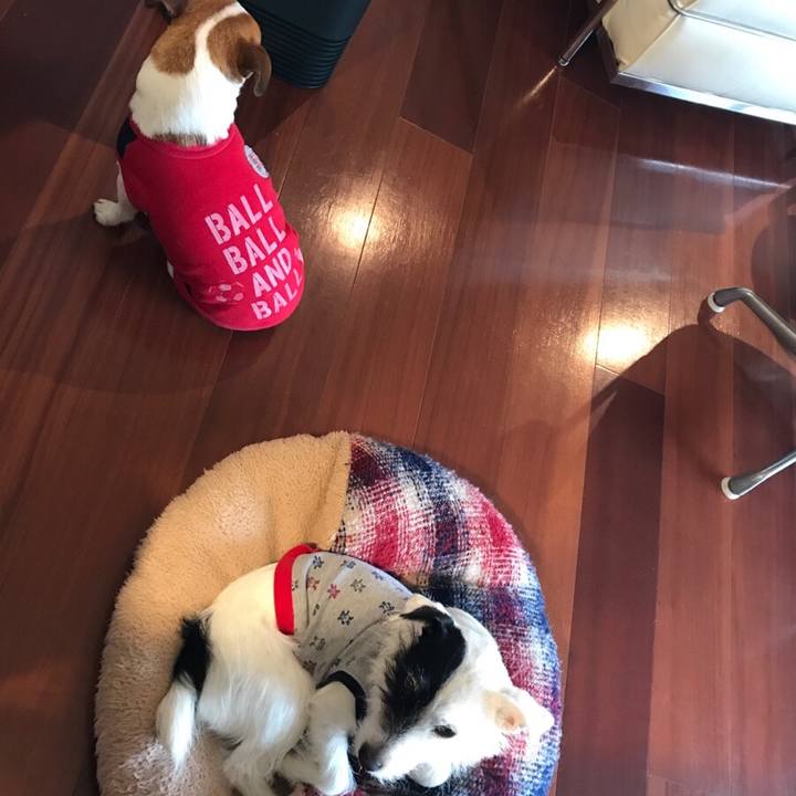 Bf1b5fa3 fdcc 4a4d 84ab bedb28b844a1