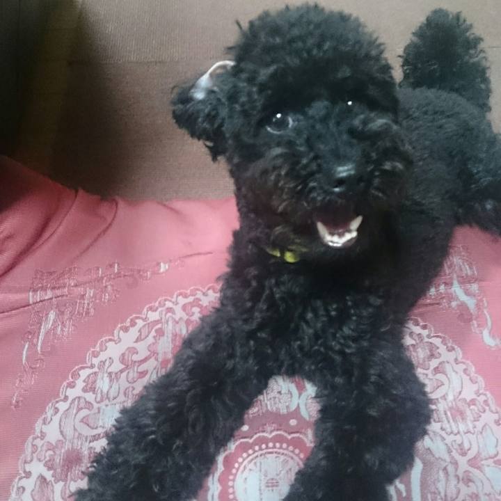 Bf1c7f00 b2b8 4846 838a 99bfc8904a32