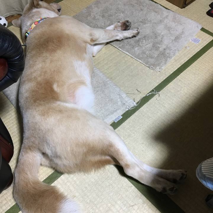 Bf1c9c10 4f0c 49b7 8da6 1580bb267a9d