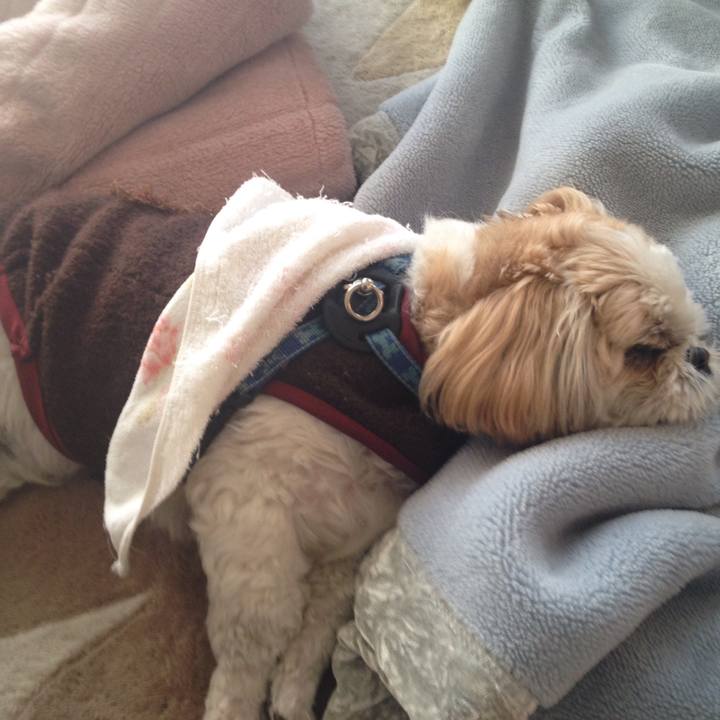 Bf1d42b9 08b2 4d56 b124 ac80155fc6ee