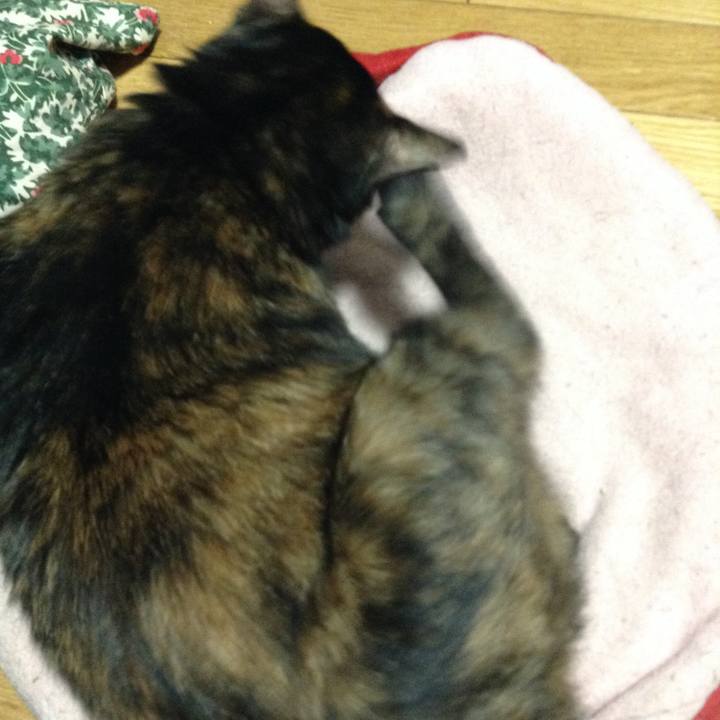 Bf1d4b65 2741 42a7 8962 db41435ec39d