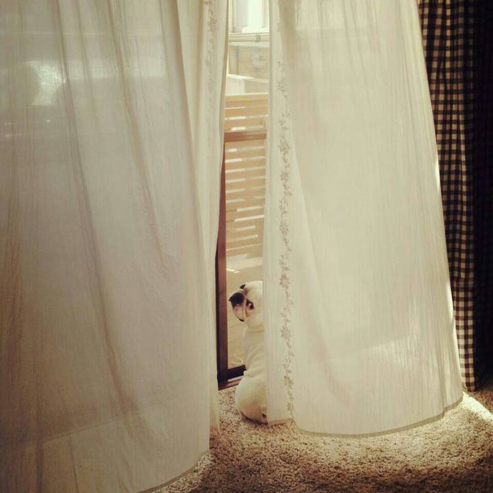 Bf1e6097 3edd 4739 9762 178266a7f884