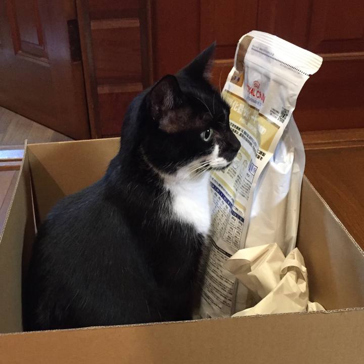 Bf1ec45e 5c1a 4924 a106 fb786720918d