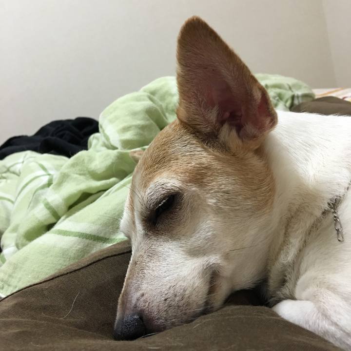 Bf1f100e 472b 486a 9d84 dae209faf2b9