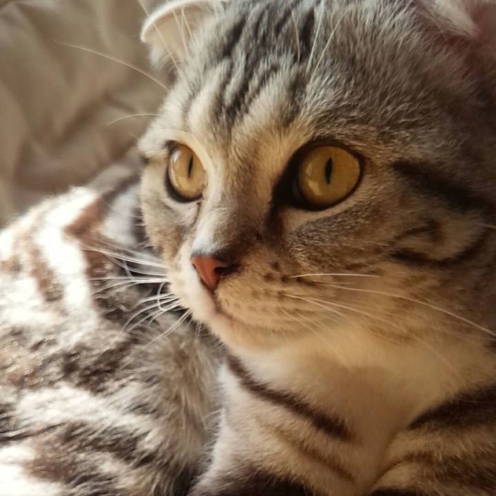 Bf1f4958 229d 45a8 87e7 8a6641735b5d