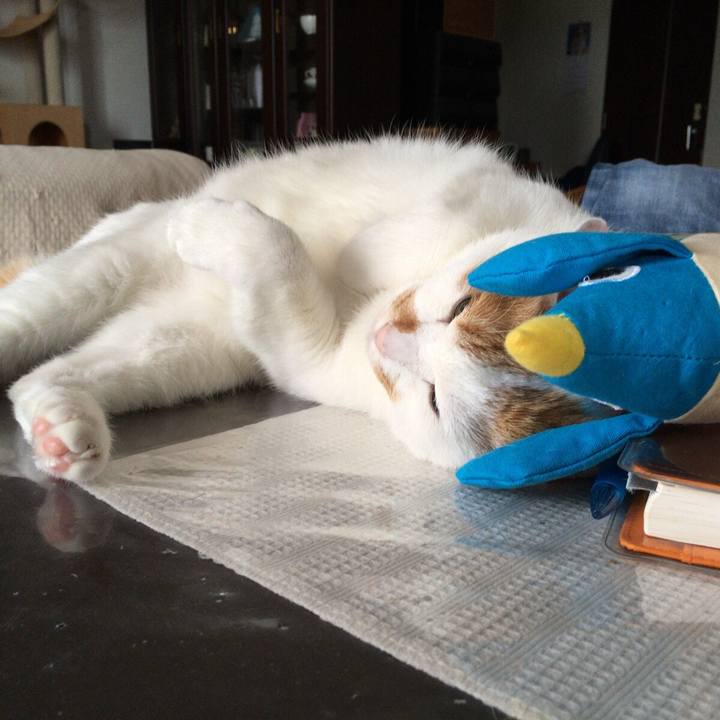 Bf1f582d f370 49a1 90f6 b3509e81b758