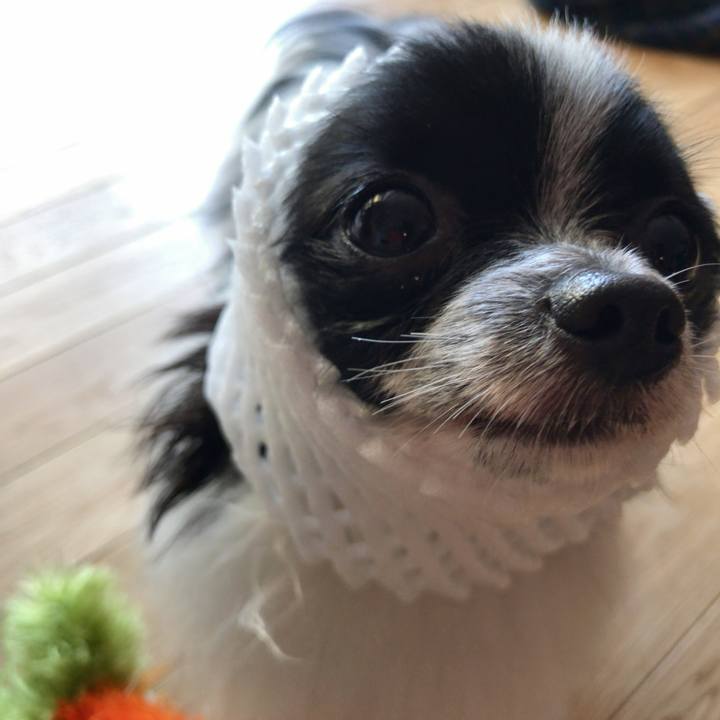 Bf1fa168 5a7b 4302 842b 50440b77eb3d