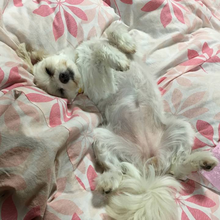 Bf1fd2d3 514a 4b2d 80be 5a5af82c1ed4