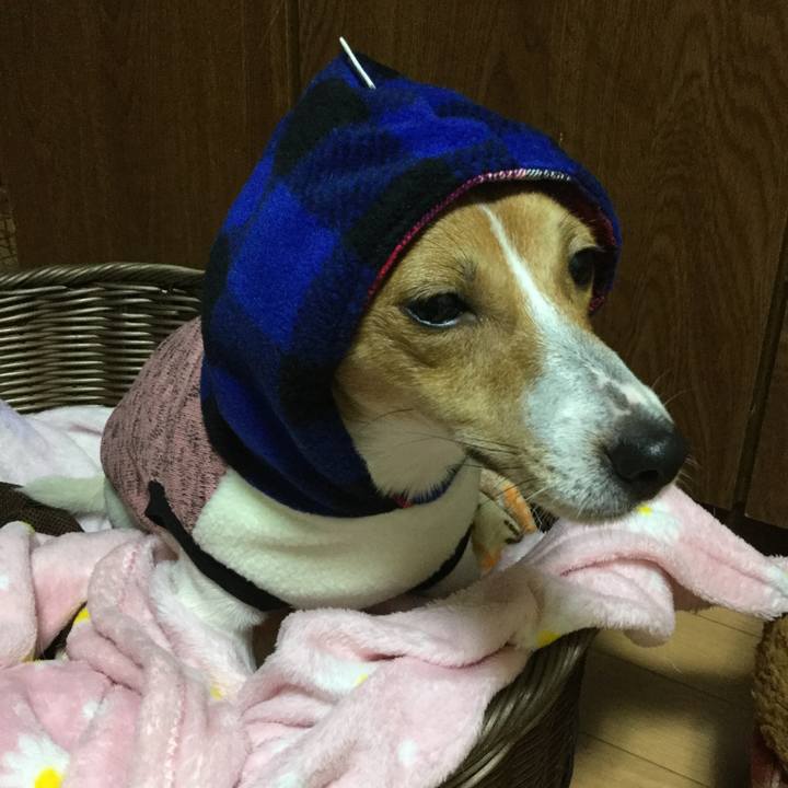 Bf1fefcd 1c10 4f6f aacb 4e0219a7ab55