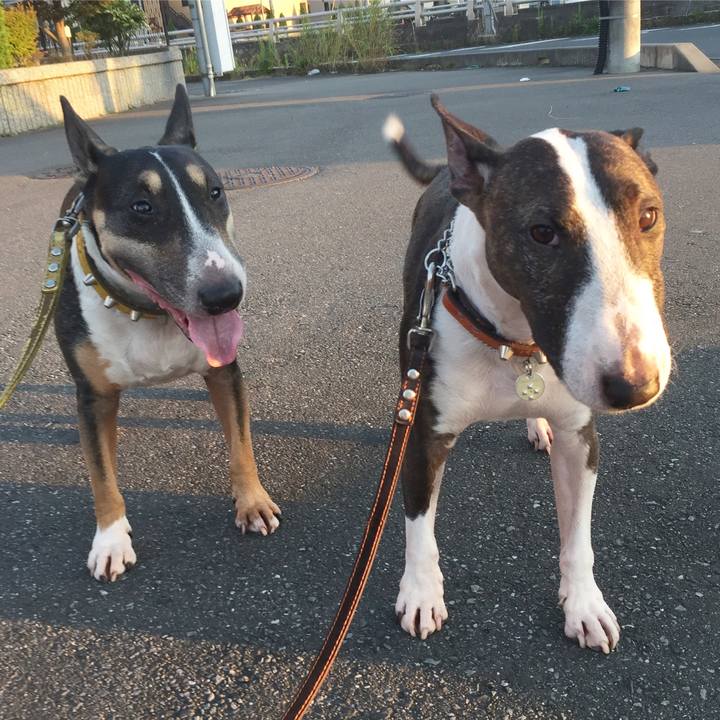 Bf2051a7 c640 4c69 868c f3b903460d59