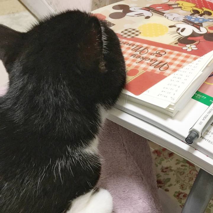 Bf20df3d 26ae 4ae4 b48d a4b711040fe4