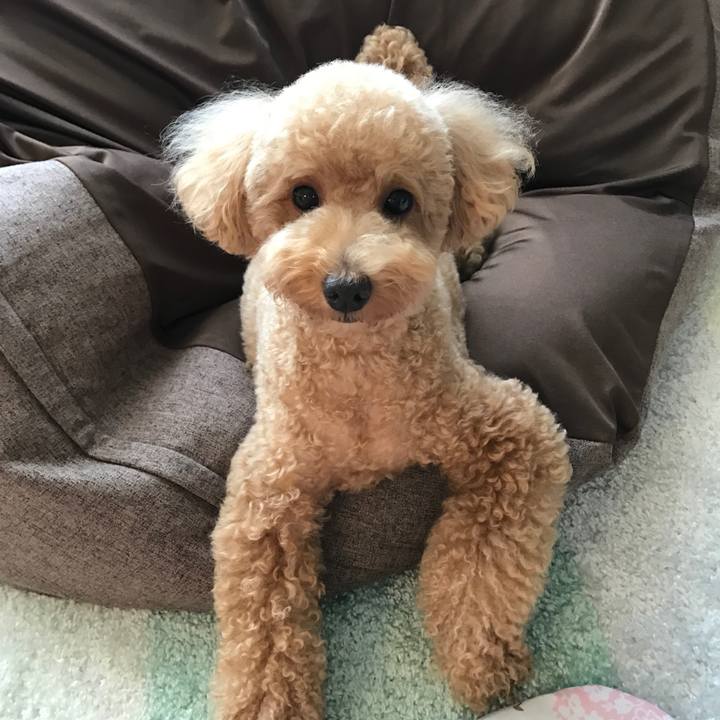 Bf212adc ef51 48c9 b5cd fe2d35f4cd2e