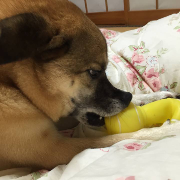 Bf212f55 226f 4519 88f2 8c6d96256f3d