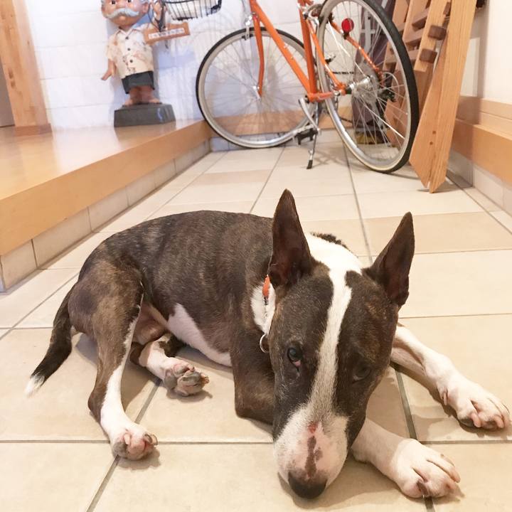 Bf218e5b cc4b 4ba8 a011 f854ccc2b0e5