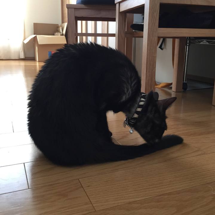 Bf226d41 189c 4bee 8a31 c128366a93c6