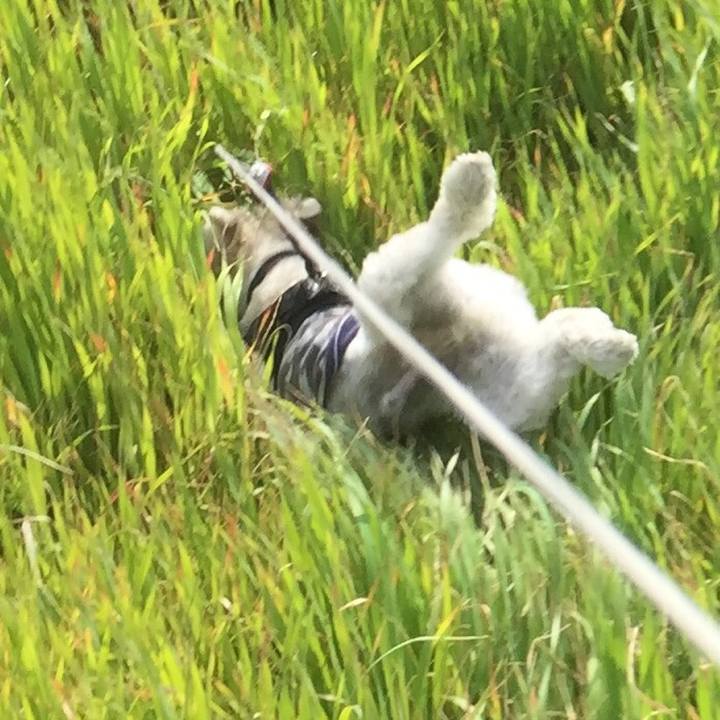 Bf233525 ce13 4234 af12 ef61a5c3b9dc