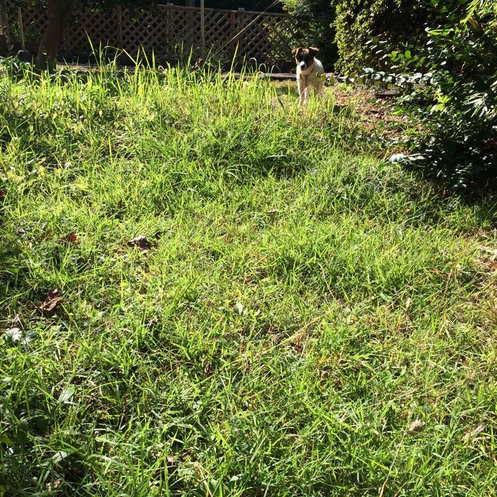 Bf238828 fc22 4fb5 bc5a cbb836d57aac