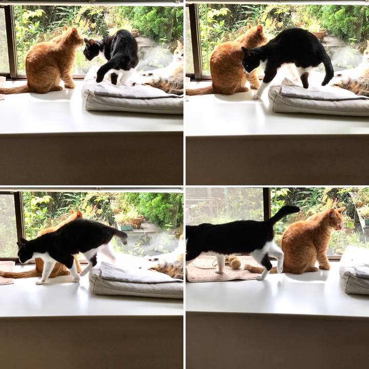 Bf23b2d7 4e1e 42a2 af44 229856769e7f