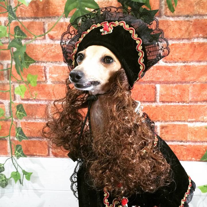 Bf24a846 f558 4fc4 ad3e dca076dfafe1