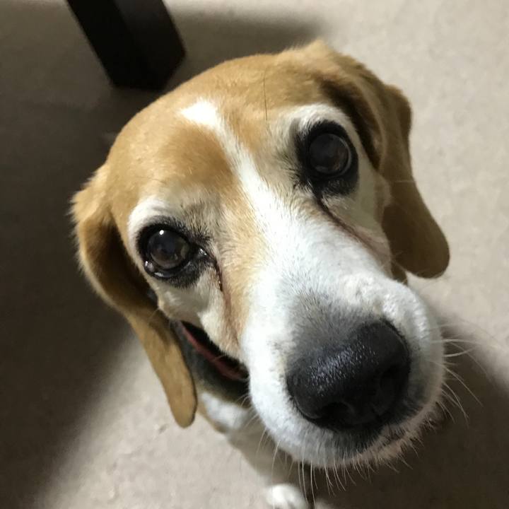 Bf25975d 3ff7 4d9e 8bae 02108060c7b9