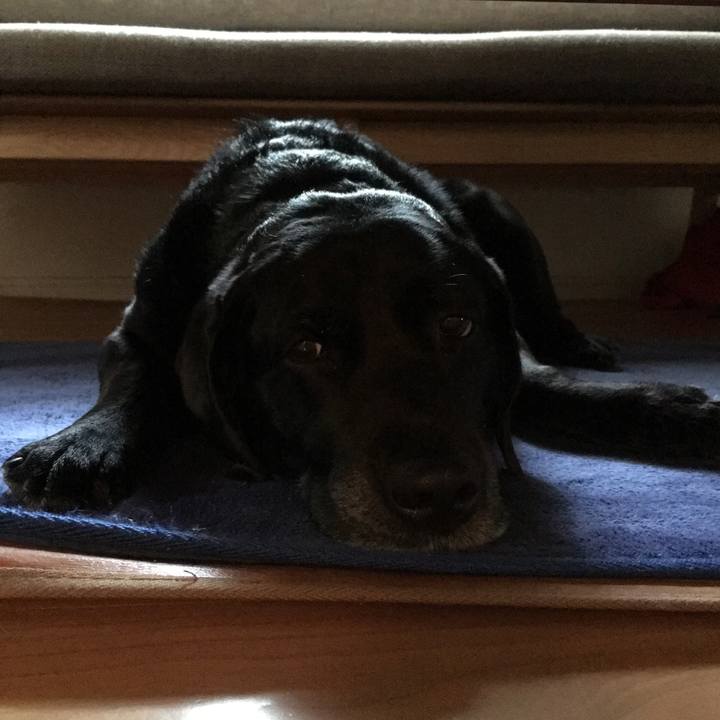 Bf2637b7 4031 47c9 a0ec f6fc7979686a