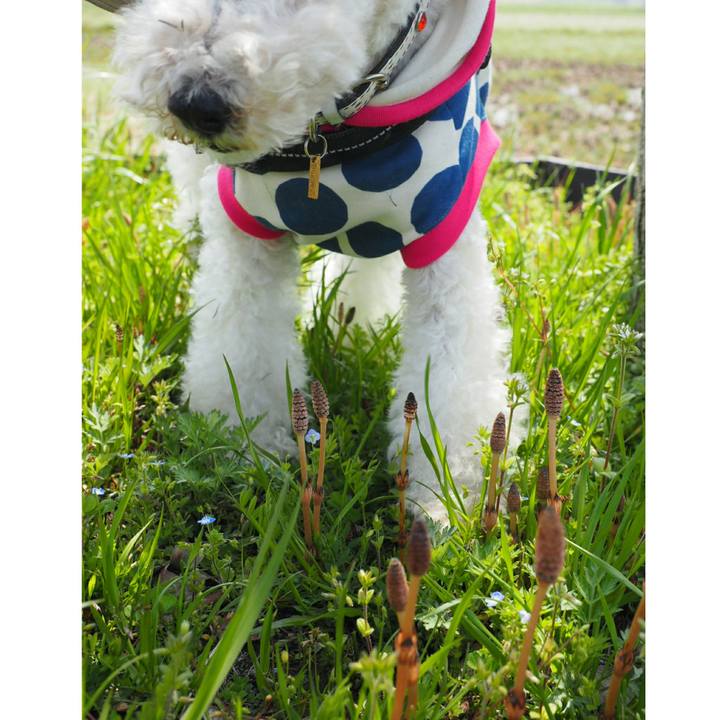 Bf26d876 7723 4da1 961a 253a9bddbc4e