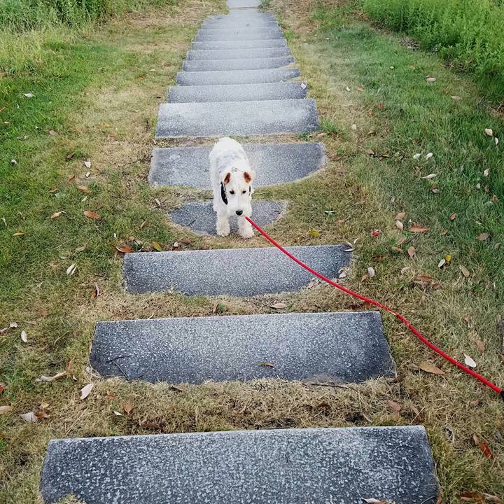 Bf27a49f 4687 4983 9a5a 07403e9b1b25