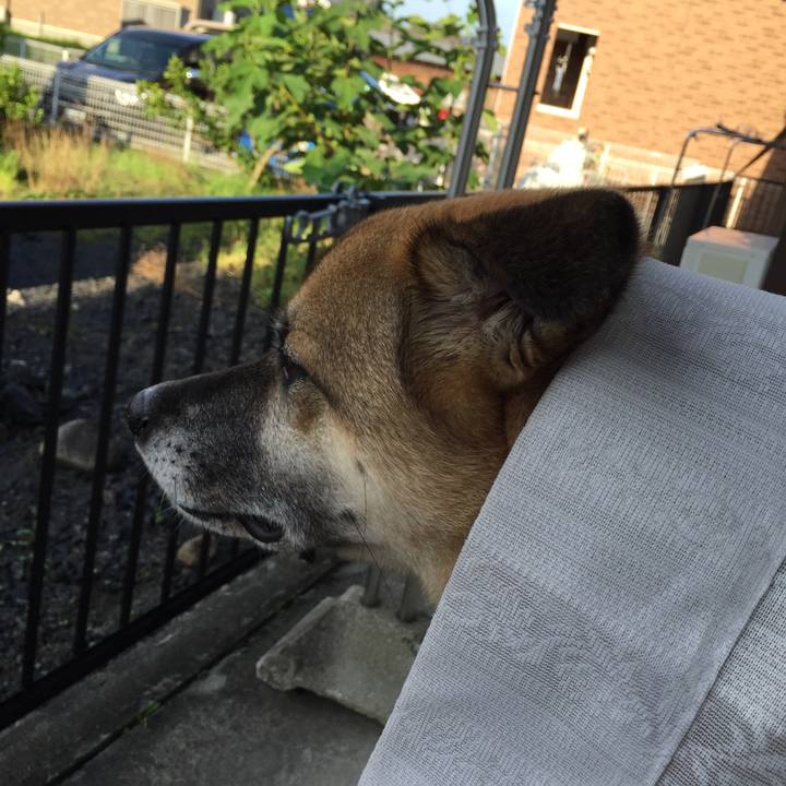 Bf27ebaa 5098 4d6b 9050 1f51e764616f