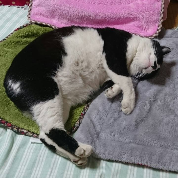 Bf28063a f07c 45b5 96e9 b9ce78403fa3