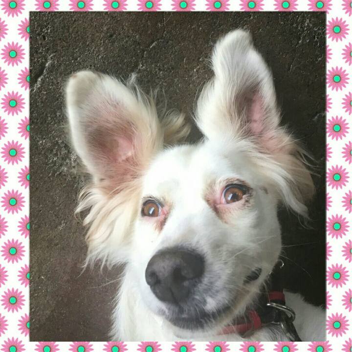 Bf280afd 96eb 4351 b8d7 c215f1e3ec59