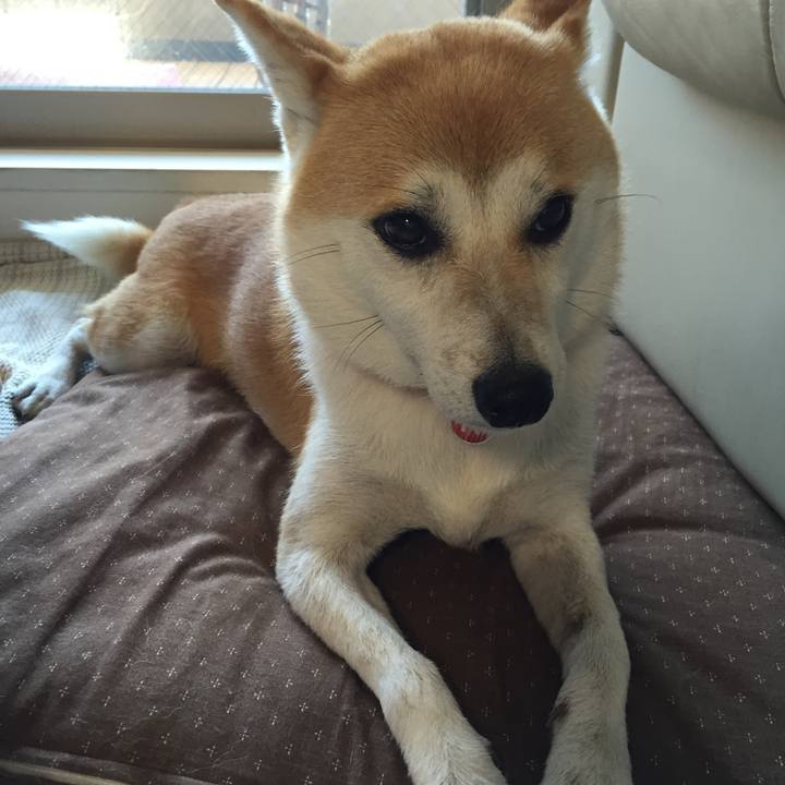 Bf284227 0f32 4903 b9ae 6b0ba1eaae9d