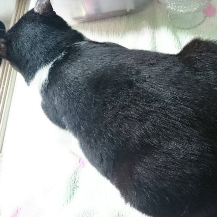 Bf290ad0 b86e 4286 970c a686084dabf0