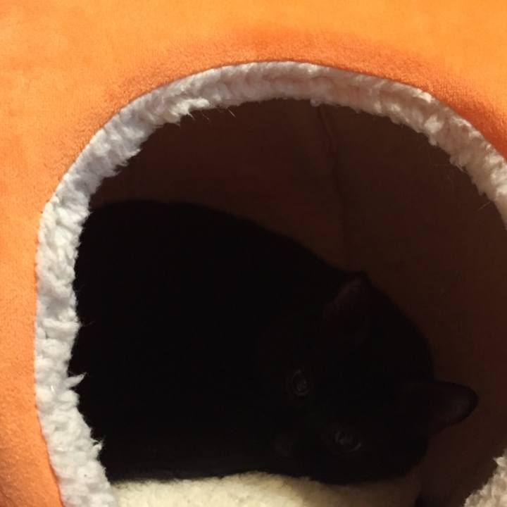 Bf29b82d 5886 454b 807a 776c5918a97f