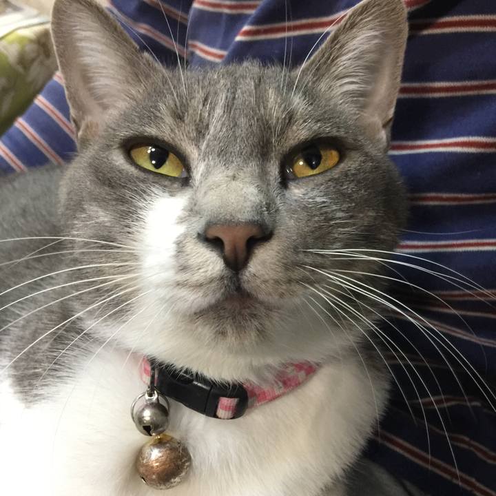 Bf29bbce 0ffa 41c1 b4fd 2f32b8c2a095