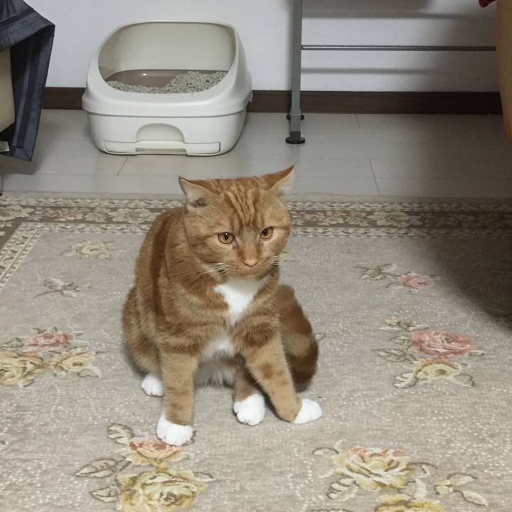 Bf2abf50 f782 4a82 9a1c 12c6d8cf2fcd