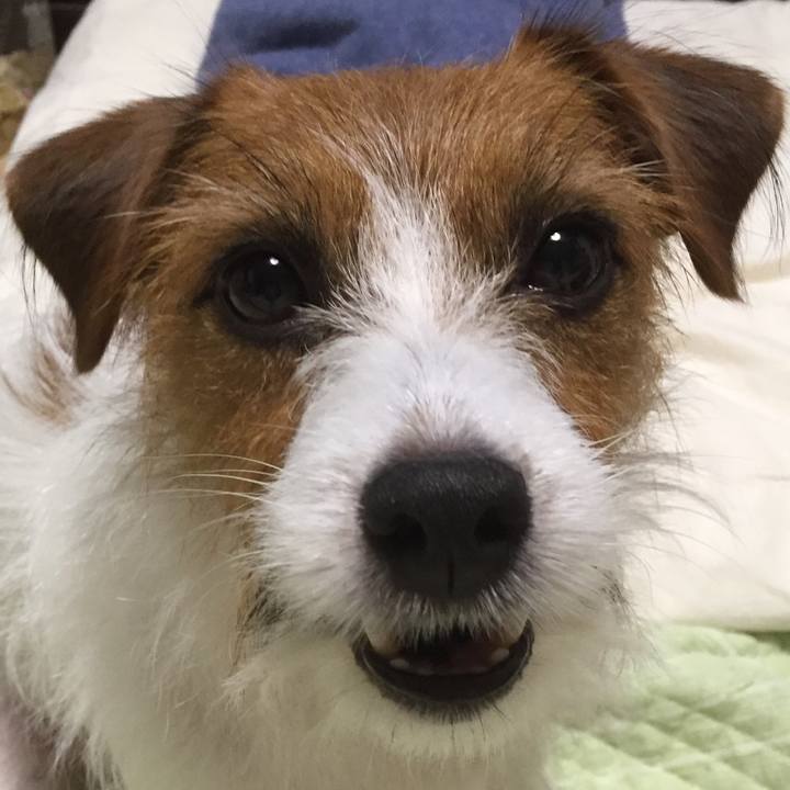 Bf2b4ef5 b4c8 4ef6 9ca7 97b14c050fc9