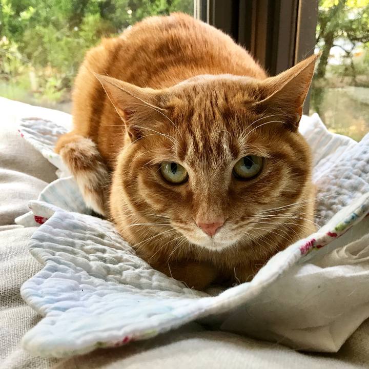 Bf2be318 7ca3 43b7 82c5 5a1af9b11bc8